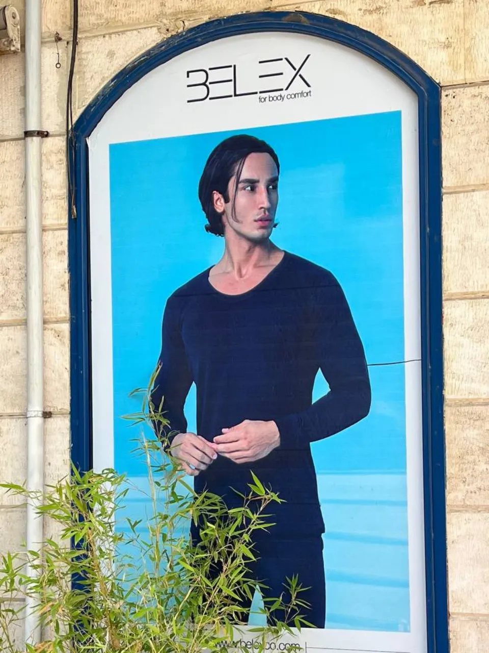 نمایندگی نخل بلکس