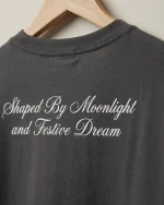 تیشرت مردانه آستین کوتاه مدل Believe Dream رنگ دودی - تصویر 3